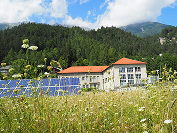 Blumenwiesen vor dem Kraftwerk Mühlau und der Photovoltaikanlage.