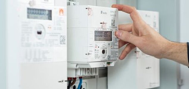 Sommer-Nieder-Arbeitspreis (SNAP)