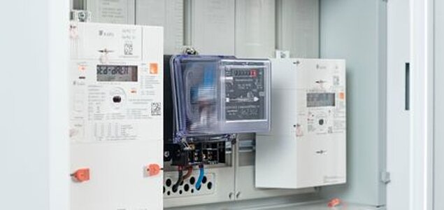 Sommer-Nieder-Arbeitspreis (SNAP)