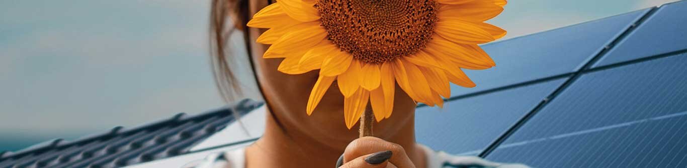 Photovoltaik mit Sonnenblumen